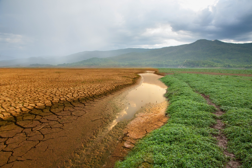 February Climate Positivity Report 2025